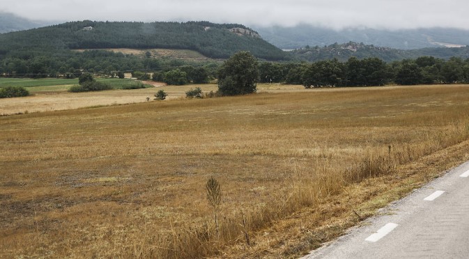 INFORME DE COAG SOBRE LOS EFECTOS DE LA SEQUÍA EN CAMPO ESPAÑOL