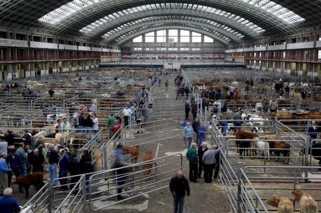 SE REANUDA LA ACTIVIDAD NORMAL EN EL MERCADO NACIONAL DE GANADOS