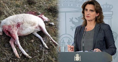 COAG PIDE LA DIMISIÓN DE LA MINISTRA DE TRANSICIÓN ECOLÓGICA Y RETO DEMOGRÁFICO, TERESA RIBERA