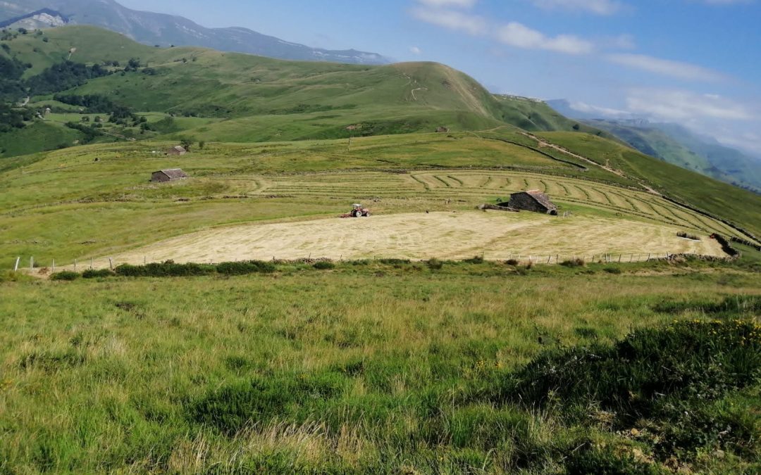 COAG- BALANCE AGRARIO 2020- Con la pandemia se ha acelerado el proceso de “uberización” del campo español, concentrando el valor de la producción en menos manos