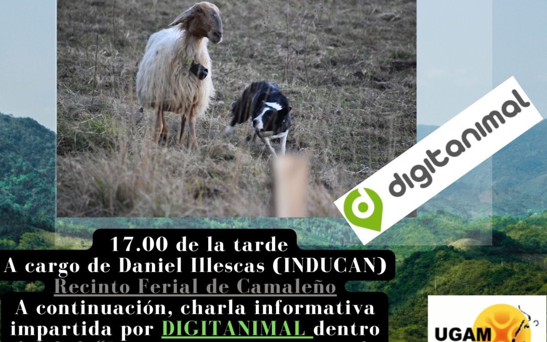 Seminario del Grupo Operativo “Mejora del manejo de pequeños rumiantes en zonas de Montaña en Cantabria” este domingo 24 en Camaleño