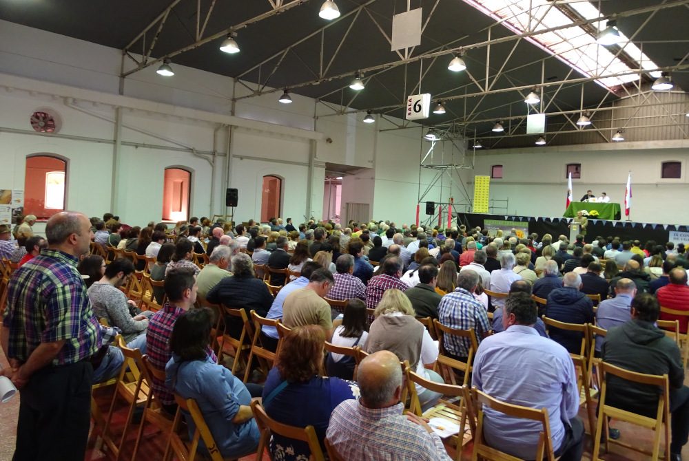 Asamblea de asociados reunidos