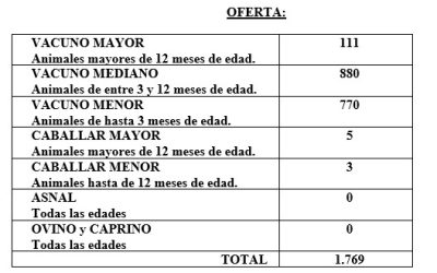 FERIA CELEBRADA EL DÍA 28 DE AGOSTO DE 2024