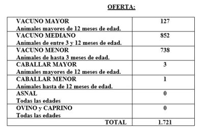 FERIA CELEBRADA EL DÍA 04 DE SEPTIEMBRE DE 2024