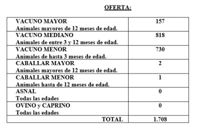 FERIA CELEBRADA EL DÍA 18 DE SEPTIEMBRE DE 2024